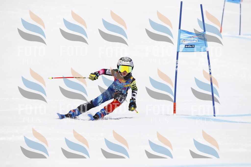 _U3G5779 | holidayphoto