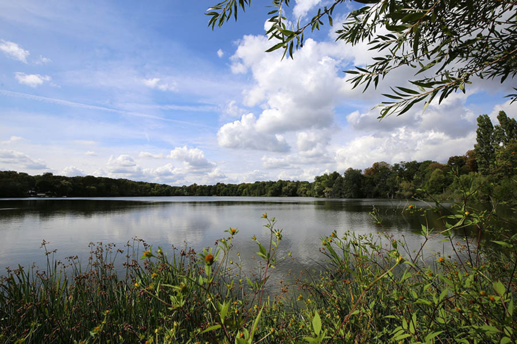 Foto: Leipzig - Auensee | Das Team hinter BILDLEXIKON LEIPZIG bündelt historische wie aktuelle Informationen über die Stadt Leipzig in Text und Bild auf einer Plattform und stellt diese der interessierten Öffentlichkeit zur Verfügung.