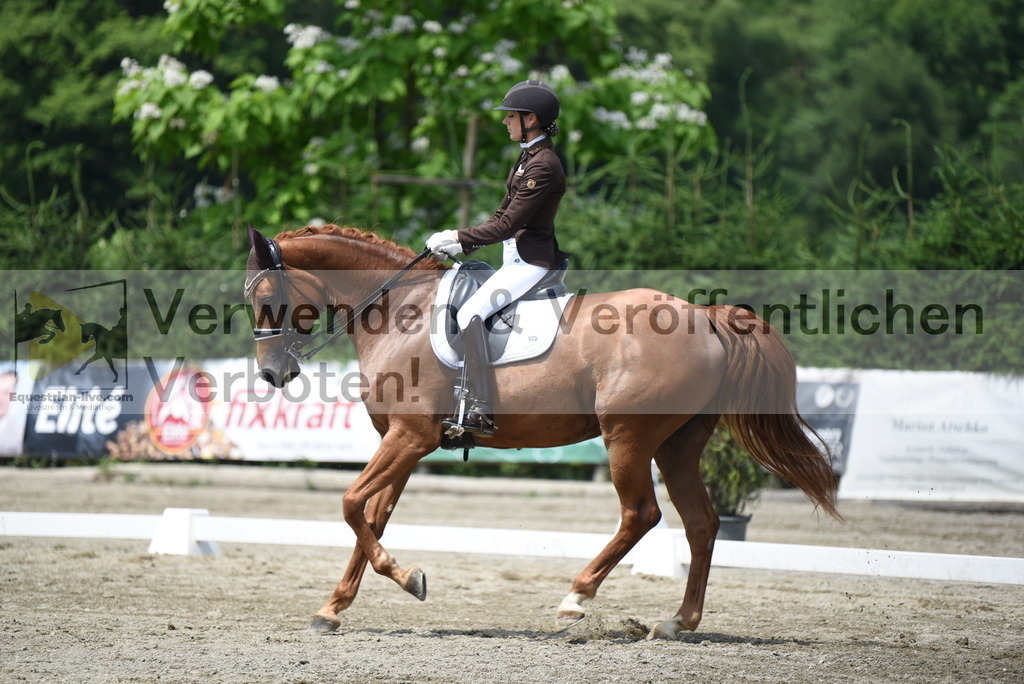 DSC_9264 | equestrian-live-com