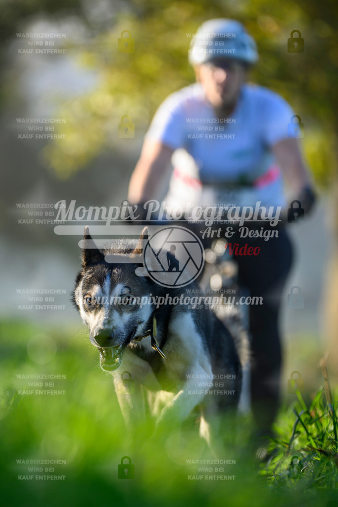 MompixPhotography_20TSB_E3_Bike-229 | PayLife