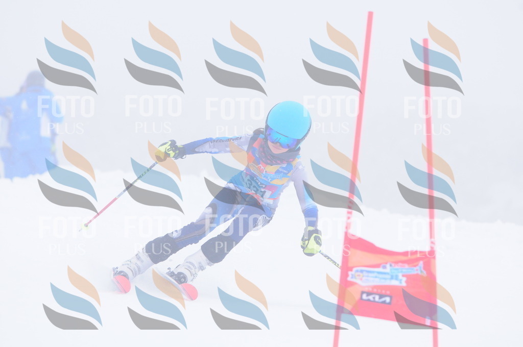 C3541 | holidayphoto