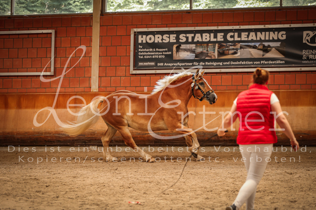 SaFL00237 | Leoni Ertmer Photography - Realisiert mit Pictrs.com