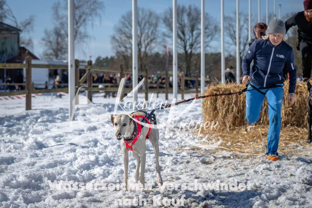 1252_ZZ92855-3 | kk-dogfotos