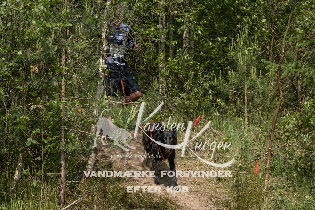 1047DKK991418 | kk-dogfotos
