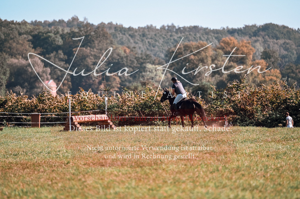 DSC_0589 | Pferde- und Turnierfotografie in Westsachsen. Pferdeportraits, Auftragszeichnungen und intuitive Kunst.