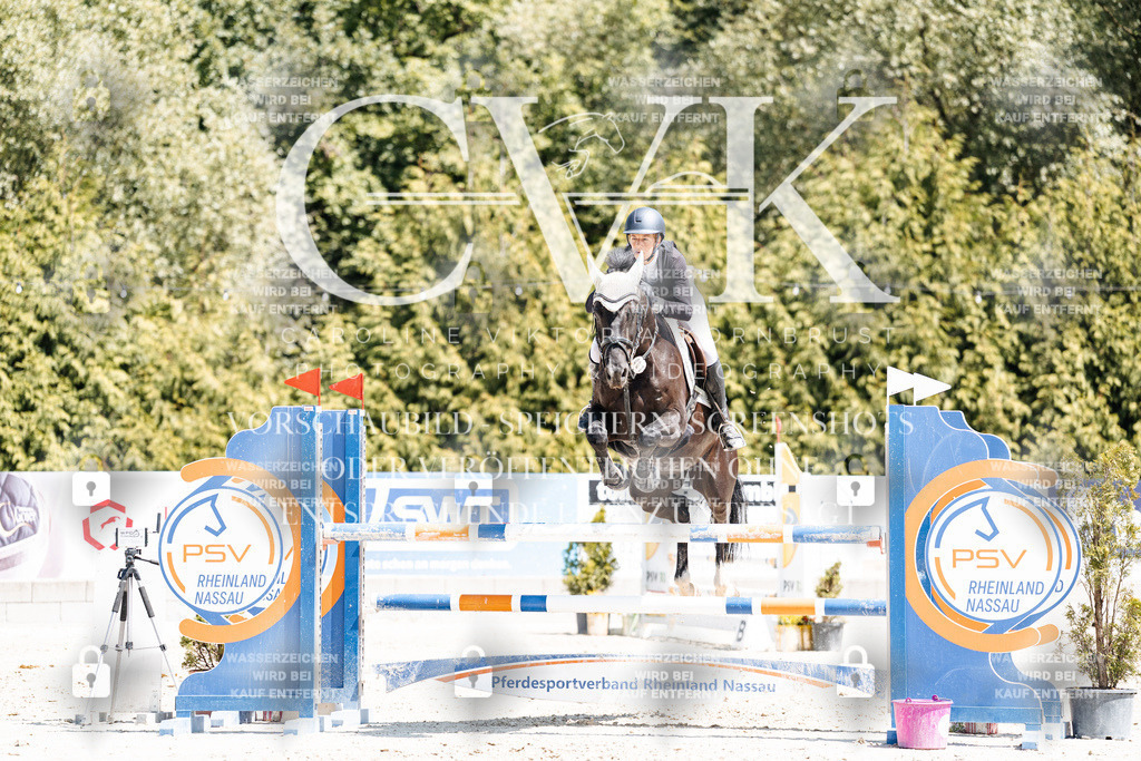 CK900180 | Turnierfotografie Pferdefotografie Trier Rheinland-Pfalz Pferdesport Reitsport Tierfotografie Sportfotografie Pferdevideo Pferdevideografie Equestrianvideography equestrianphotography  - Realisiert mit Pictrs.com
