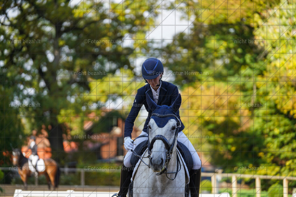20221007-FAH00078 | Diessen am Ammersee, 2022, Dressur- und Springturnier, Reitsportbilder, Turnierfotografen Bayern, Pferdefotografen, Fotoagentur Herrmann, Turnierbilder