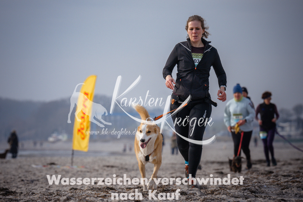 1021_ZZ94937 | kk-dogfotos