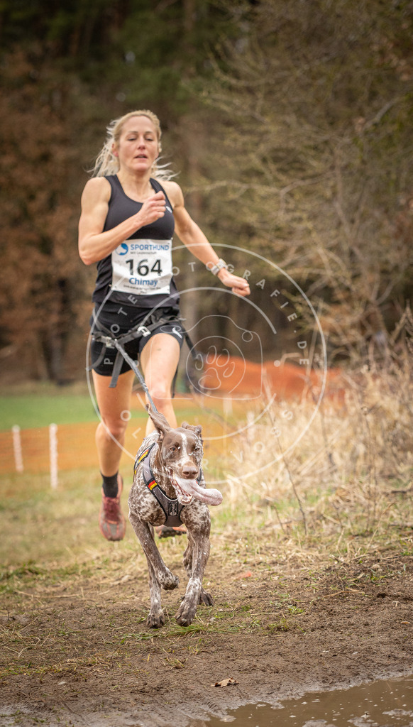 DV3A2043 | Hundefotografie, Tierfotograf, Pfotenfotografie, Fotoshooting Hund, Hunde Portrait, Hundesport, Hundeportraits, Heideshooting, Hunde, Sportfotograf, Hundefotograf, Turnierhundsport, THS,  - Realisiert mit Pictrs.com