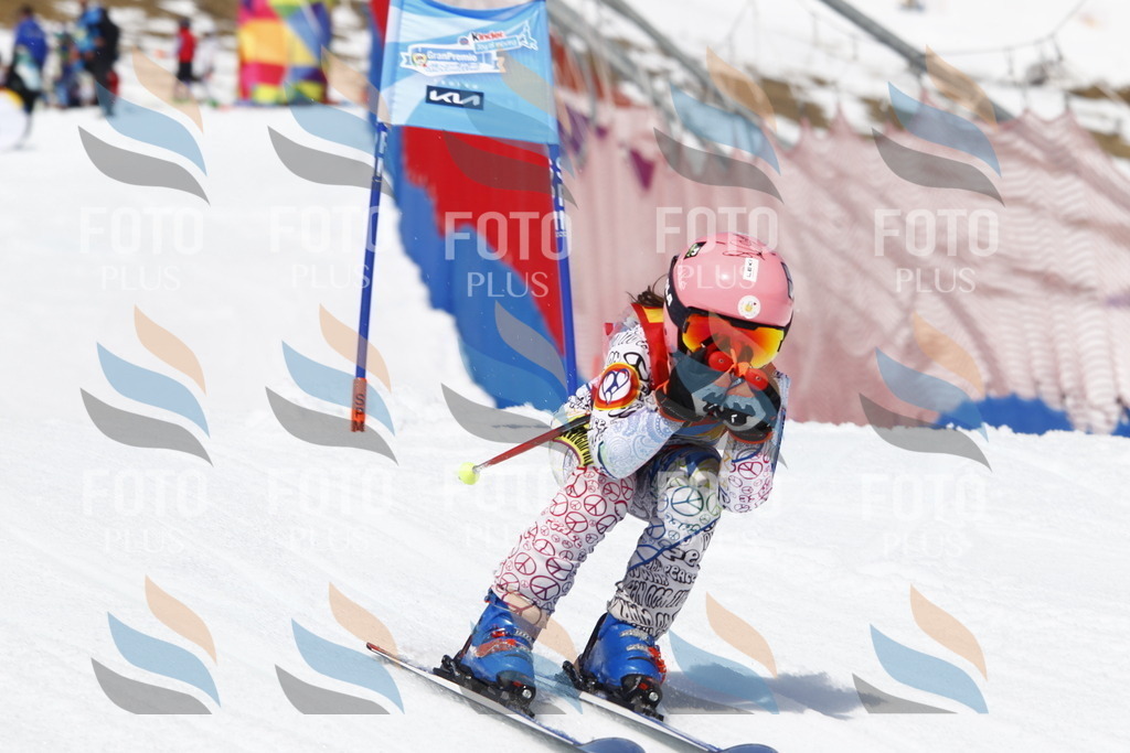 _U3G8240 | holidayphoto