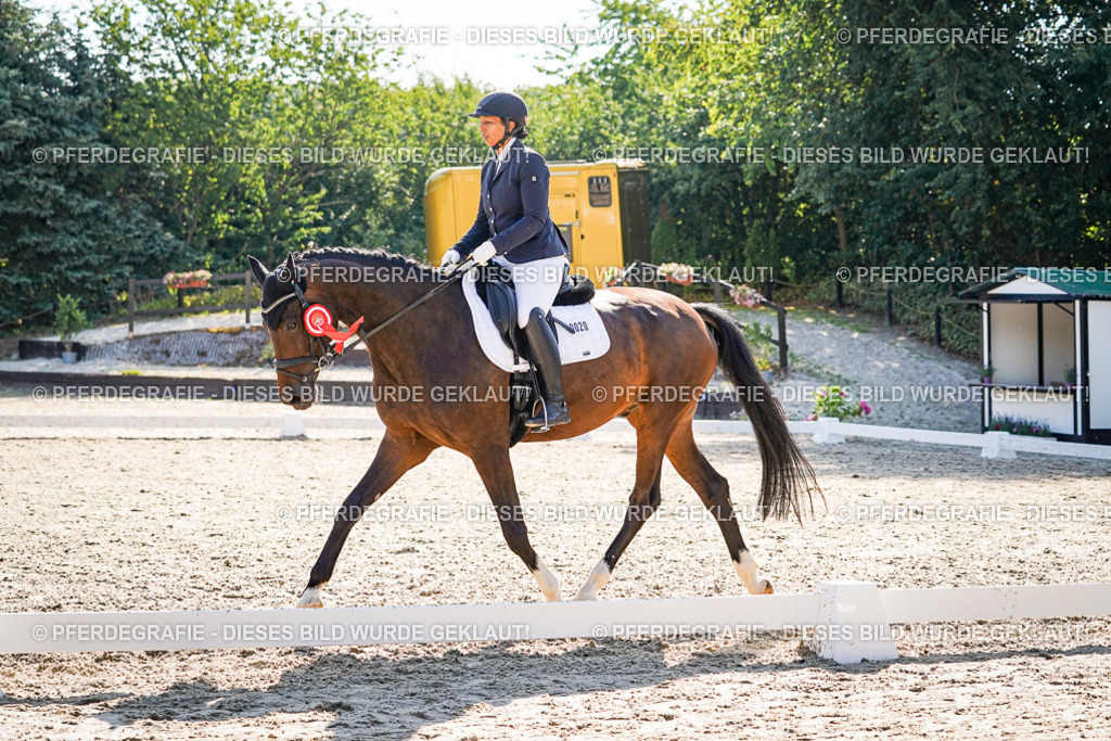 DSC00265 | Pferdegrafie