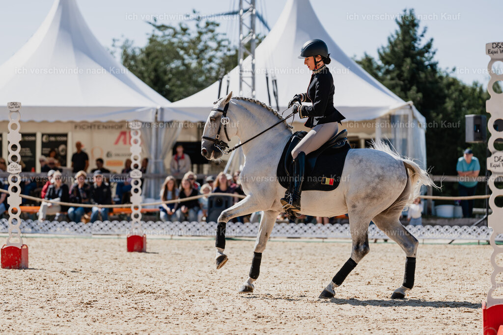 Virginie12FHC2025-08604 | working equitationturnier fotograf videograf stoibphotography marixx film working equitation deutschland reitsport turnierfotografie eventfotografie equestrian events