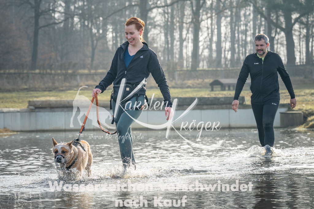 0921_ZZ91174 | kk-dogfotos