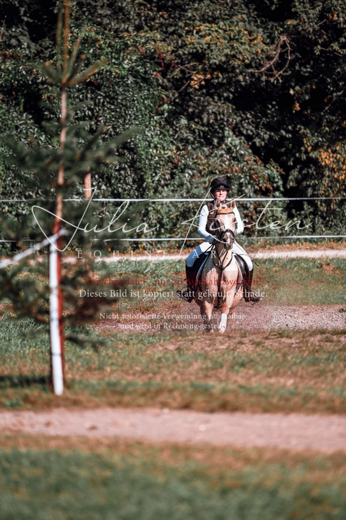 DSC_1130 | Pferde- und Turnierfotografie in Westsachsen. Pferdeportraits, Auftragszeichnungen und intuitive Kunst.