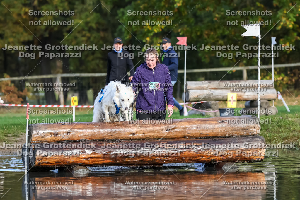 Dog Paparazzi - Strongdog 10-25-7032 | Dog Paparazzi Jeanette Grottendiek Fotografie & Videografie - Realisiert mit Pictrs.com