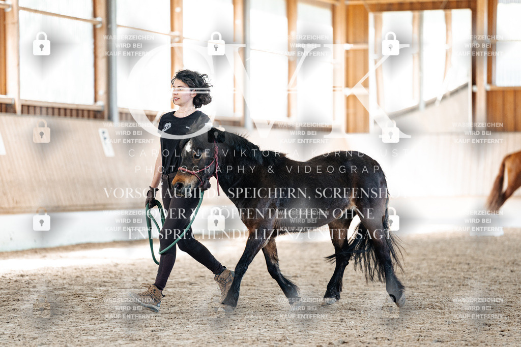 CK906854 | Turnierfotografie Pferdefotografie Trier Rheinland-Pfalz Pferdesport Reitsport Tierfotografie Sportfotografie Pferdevideo Pferdevideografie Equestrianvideography equestrianphotography  - Realisiert mit Pictrs.com