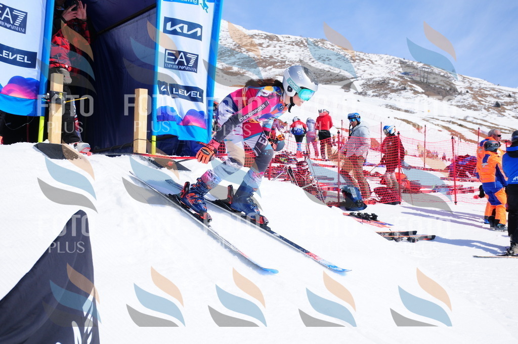 DSC_5046 | holidayphoto