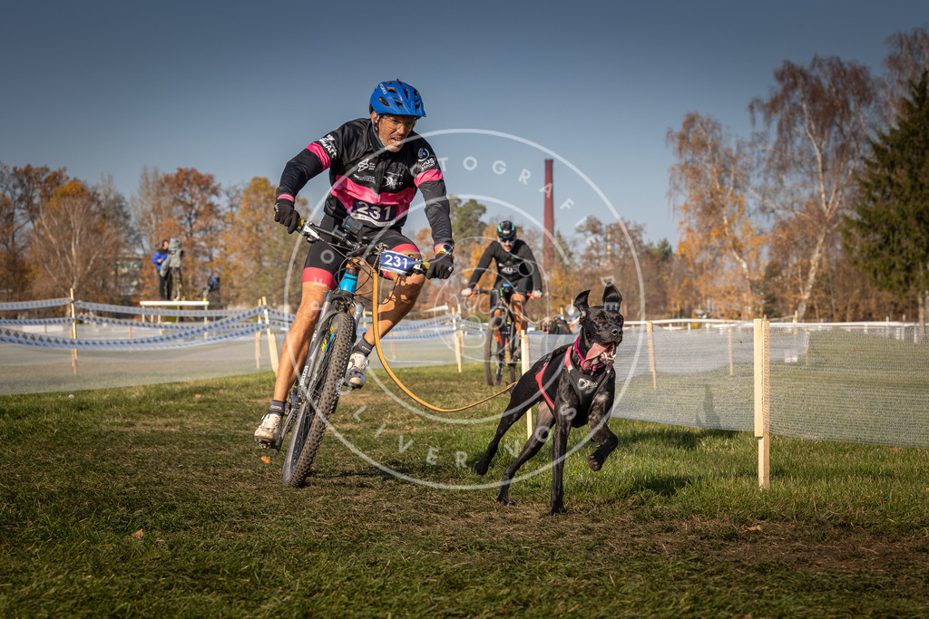 CaniXpix_0L8A7823 | Hundefotografie, Tierfotograf, Pfotenfotografie, Fotoshooting Hund, Hunde Portrait, Hundesport, Hundeportraits, Heideshooting, Hunde, Sportfotograf, Hundefotograf, Turnierhundsport, THS,  - Realisiert mit Pictrs.com