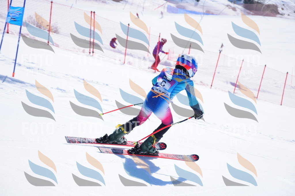 DSC_3600 | holidayphoto