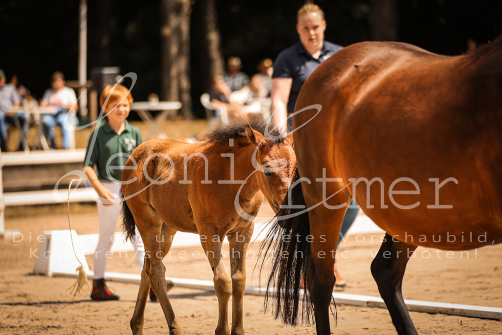 02.DoSR00056 | Leoni Ertmer Photography - Realisiert mit Pictrs.com