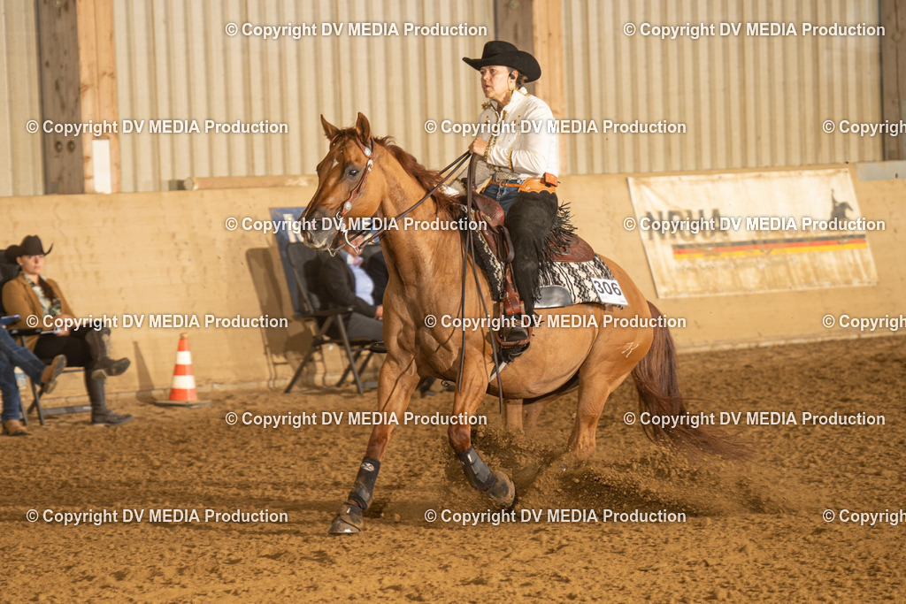 LAU00200 | dv-media-shop - Realisiert mit Pictrs.com