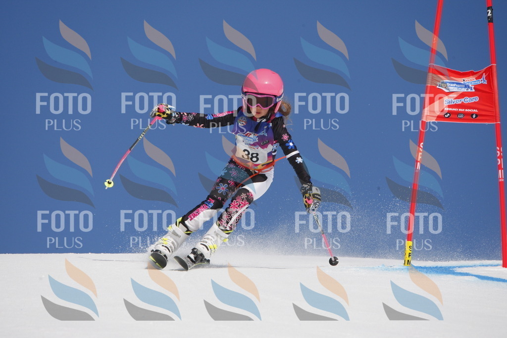 _W1G0527 | holidayphoto