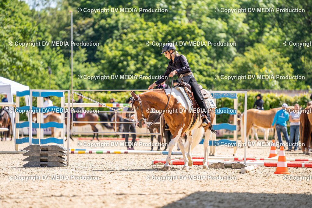 Zeiskam Tag 2-1010 | dv-media-shop - Realisiert mit Pictrs.com