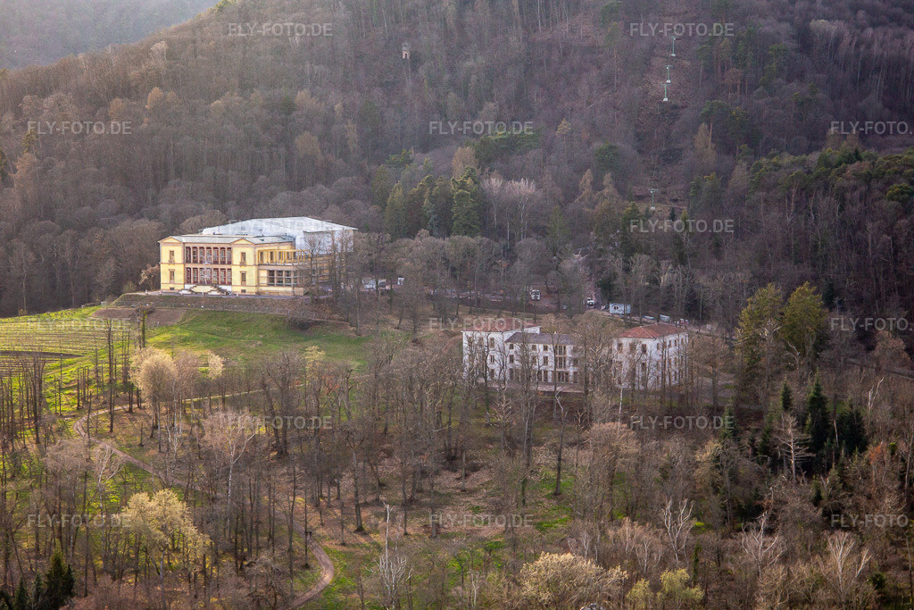 Schloss Villa Ludwigshöhe https://www.burgenlandschaft-pfalz.de/de/schloss-villa-ludwigshoehe/ | Luftbild: Schloss Villa Ludwigshöhe https://www.burgenlandschaft-pfalz.de/de/schloss-villa-ludwigshoehe/ in Edenkoben im Bundesland Rheinland-Pfalz in Deutschland. Foto: IMG_140016.jpg vom 14.03.2024 durch ©2025 Werner Riehm fly-foto.de/copyright - Realisiert mit Pictrs.com