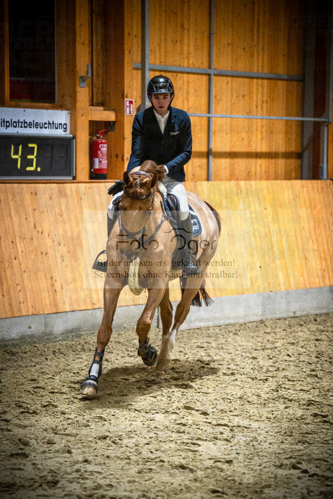 DOS_1176 | Entdecke hochwertige Reitturnierfotos von Foto Oger. Professionell, emotional und authentisch – jetzt Lieblingsmomente im Shop bestellen.Deutschlandweite Turnierfotografie. - Realisiert mit Pictrs.com
