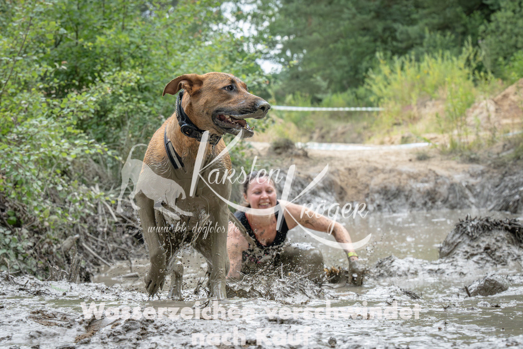 1452_ZZ91000-Verbessert-RR | kk-dogfotos