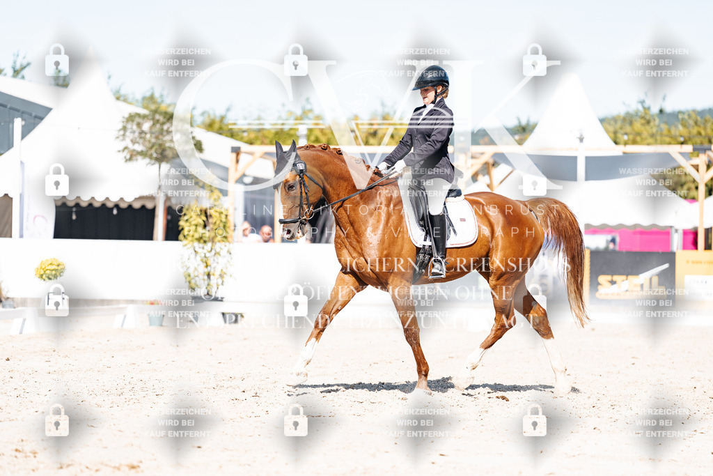 CK908804 | Turnierfotografie Pferdefotografie Trier Rheinland-Pfalz Pferdesport Reitsport Tierfotografie Sportfotografie Pferdevideo Pferdevideografie Equestrianvideography equestrianphotography  - Realisiert mit Pictrs.com