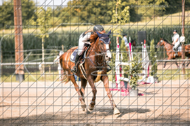 _W6A2439 | ronjaprokoschfotografie - Realisiert mit Pictrs.com