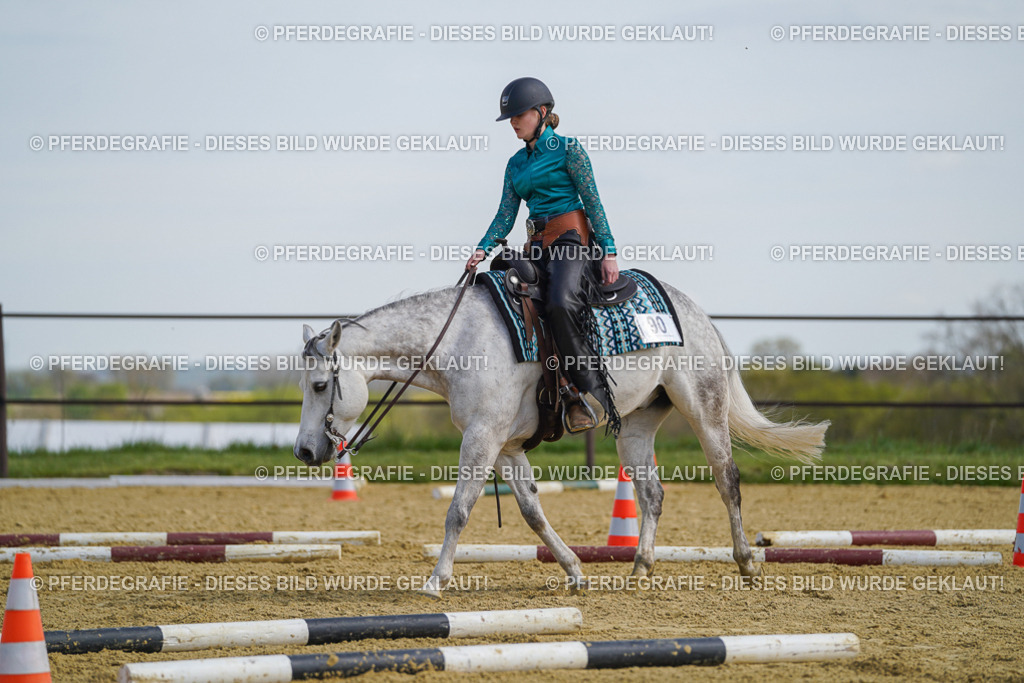 DSC04649 | Pferdegrafie