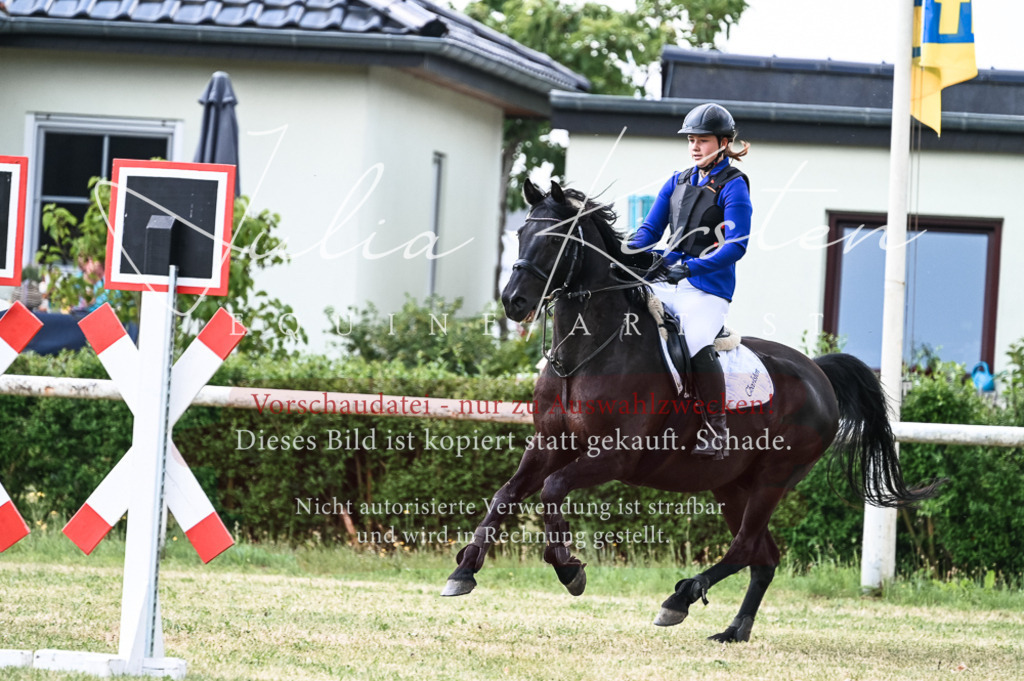 DSC_8964 | Pferde- und Turnierfotografie in Westsachsen. Pferdeportraits, Auftragszeichnungen und intuitive Kunst.