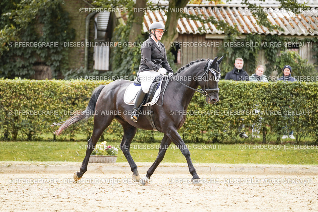 DSC01202 | Pferdegrafie