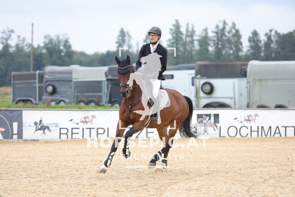 0P6A3596 | Willkommen bei Brunnmayr - Design & Fotografie – Ihrem Spezialisten für Reitturniere und Pferdeveranstaltungen in Oberösterreich, Salzburg und Bayern! Seit über 17 Jahren sind wir leidenschaftlich dabei.