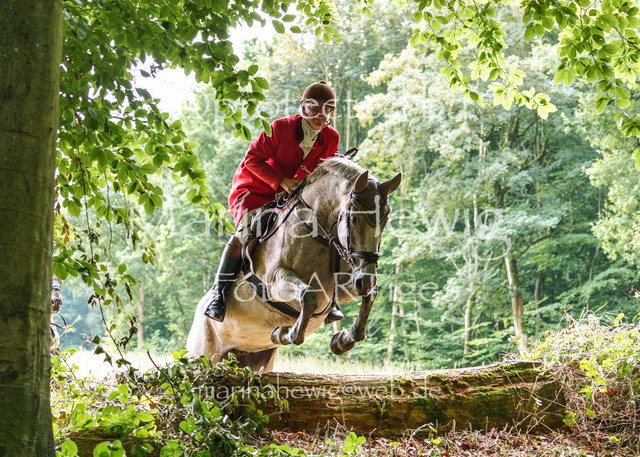 Jagd Knoop 26_MarinaHewigMCH02388 | Fotografie, FotoArt, PferdesportArt, Pferdesportfotografie, Landschaftsfotografie, Reisefotografie, Reise, Pferde - Realisiert mit Pictrs.com