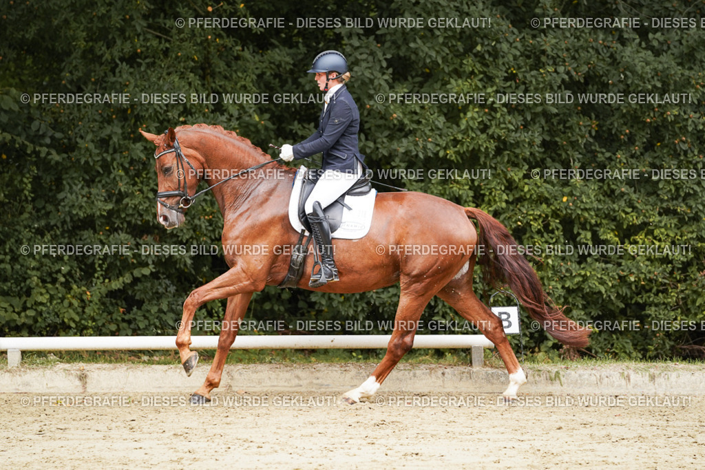 DSC09424 | Pferdegrafie