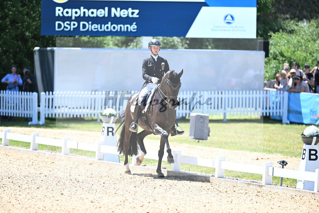 Netz_DSP Dieudonne_11254906 | hf-fotografie - Realisiert mit Pictrs.com