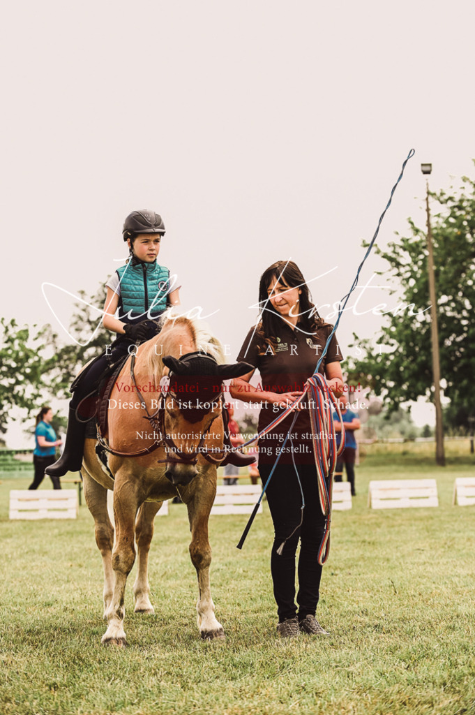 DSC_5351 | Pferde- und Turnierfotografie in Westsachsen. Pferdeportraits, Auftragszeichnungen und intuitive Kunst.