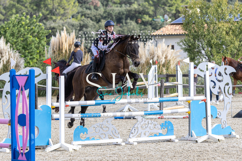 IMG_3492 | s-jay-photography - Realisiert mit Pictrs.com