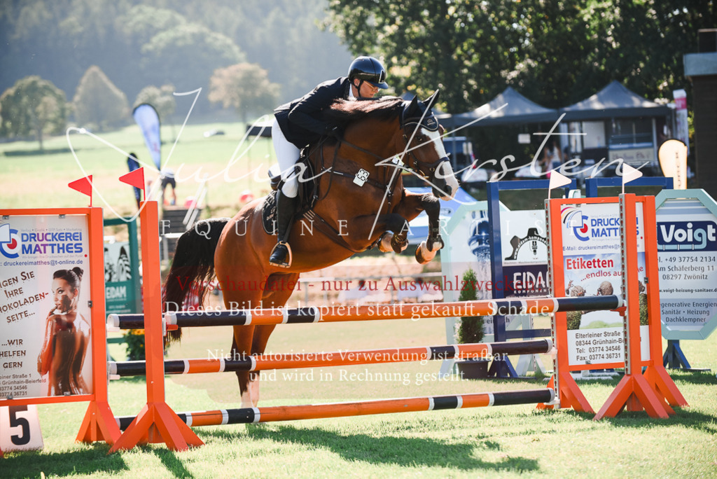 DSC_2465 | Pferde- und Turnierfotografie in Westsachsen. Pferdeportraits, Auftragszeichnungen und intuitive Kunst.