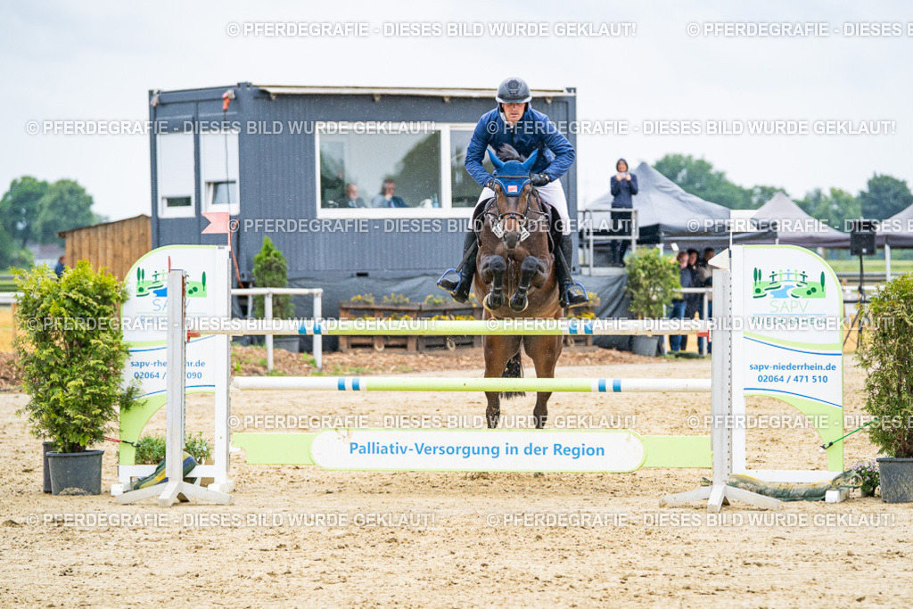 DSC09451 | Pferdegrafie