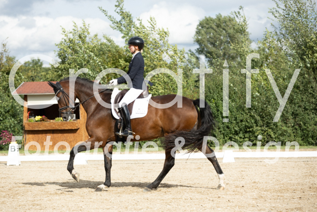 IMG_6978 | Creatify Fotografie