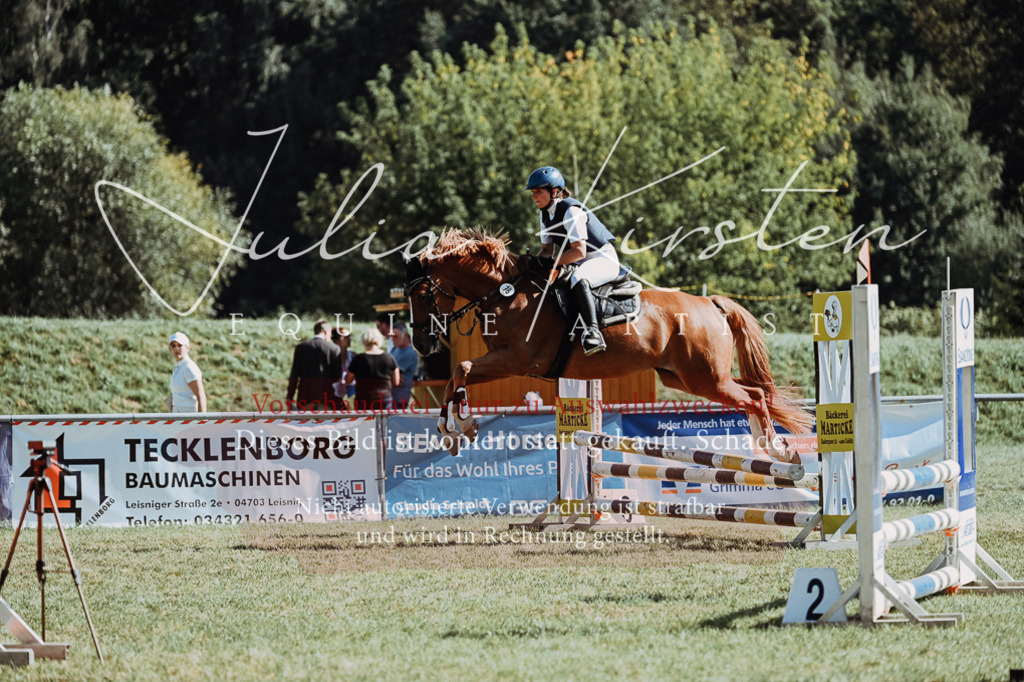 DSC_6938 | Pferde- und Turnierfotografie in Westsachsen. Pferdeportraits, Auftragszeichnungen und intuitive Kunst.