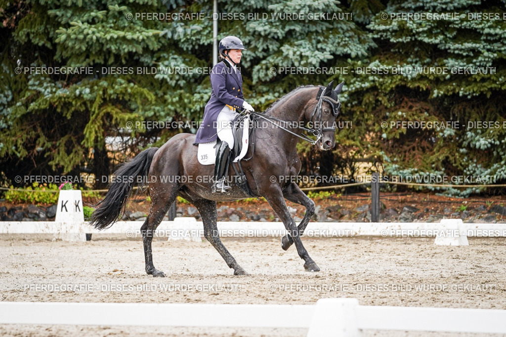 DSC09981 | Pferdegrafie