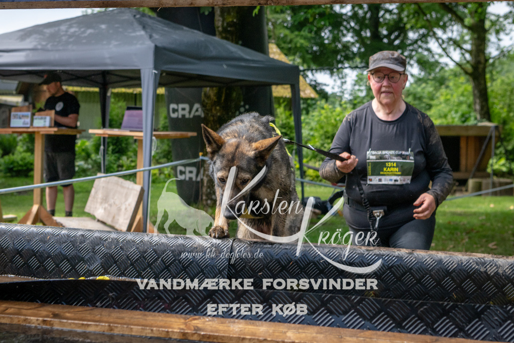 1114_ZZ93338 | kk-dogfotos