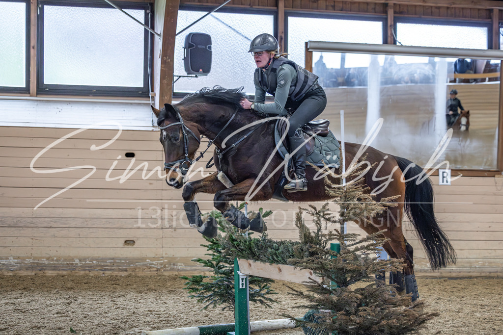 20260222-_3LI1559 | Tierfotografie Pferde, Hunde, Katzen, Haustiere.
Turnierfotografie Reitturniere, Reiten, Springreiten, Dressur in Hanau, dem Main-Kinzig-Kreis und dem Rhein-Main- Gebiet um Frankfurt