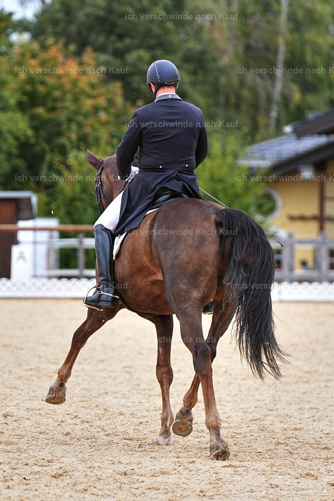 11-092-Dressur S___-Marixx-1585 | working equitationturnier fotograf videograf stoibphotography marixx film working equitation deutschland reitsport turnierfotografie eventfotografie equestrian events