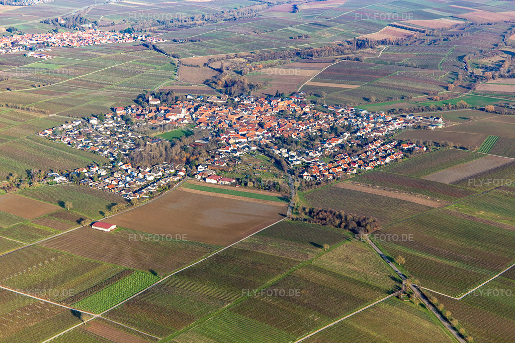 Luftbild: Dorf von Südwesten im Ortsteil Mörzheim in Landau im Bundesland Rheinland-Pfalz in Deutschland. Foto: IMG_145047.jpg vom 27.12.2024 durch Werner Riehm/FLY-FOTO.de